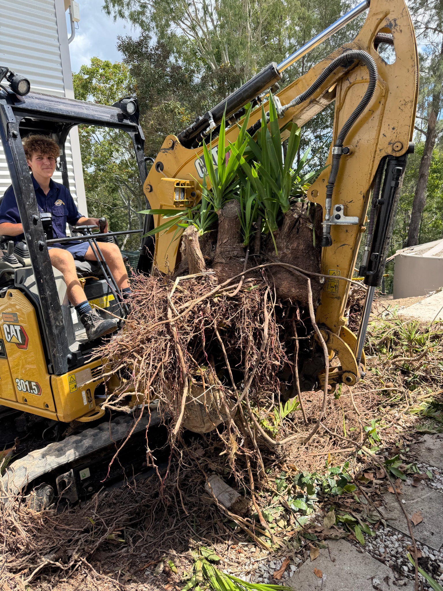 Landscaping & Site Prep